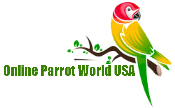 Online Parrot World USA